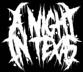 logo A Night In Texas